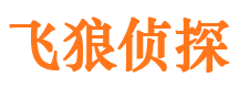 和政市侦探公司